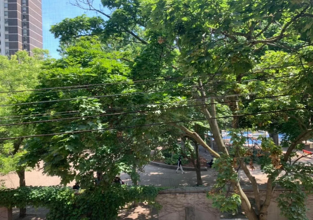 Jacob22 B&B Toronto 0*,  Kanada